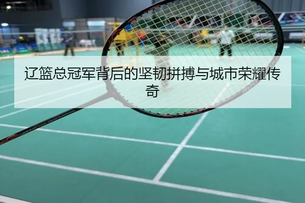 辽篮总冠军背后的坚韧拼搏与城市荣耀传奇
